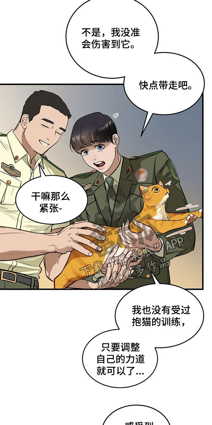 第28章：对猫过敏18