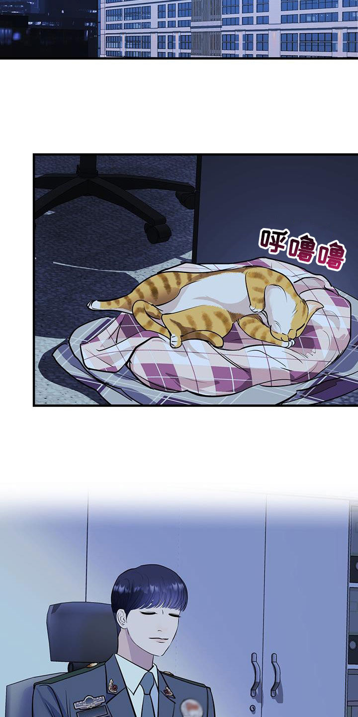 第29章：名牌21