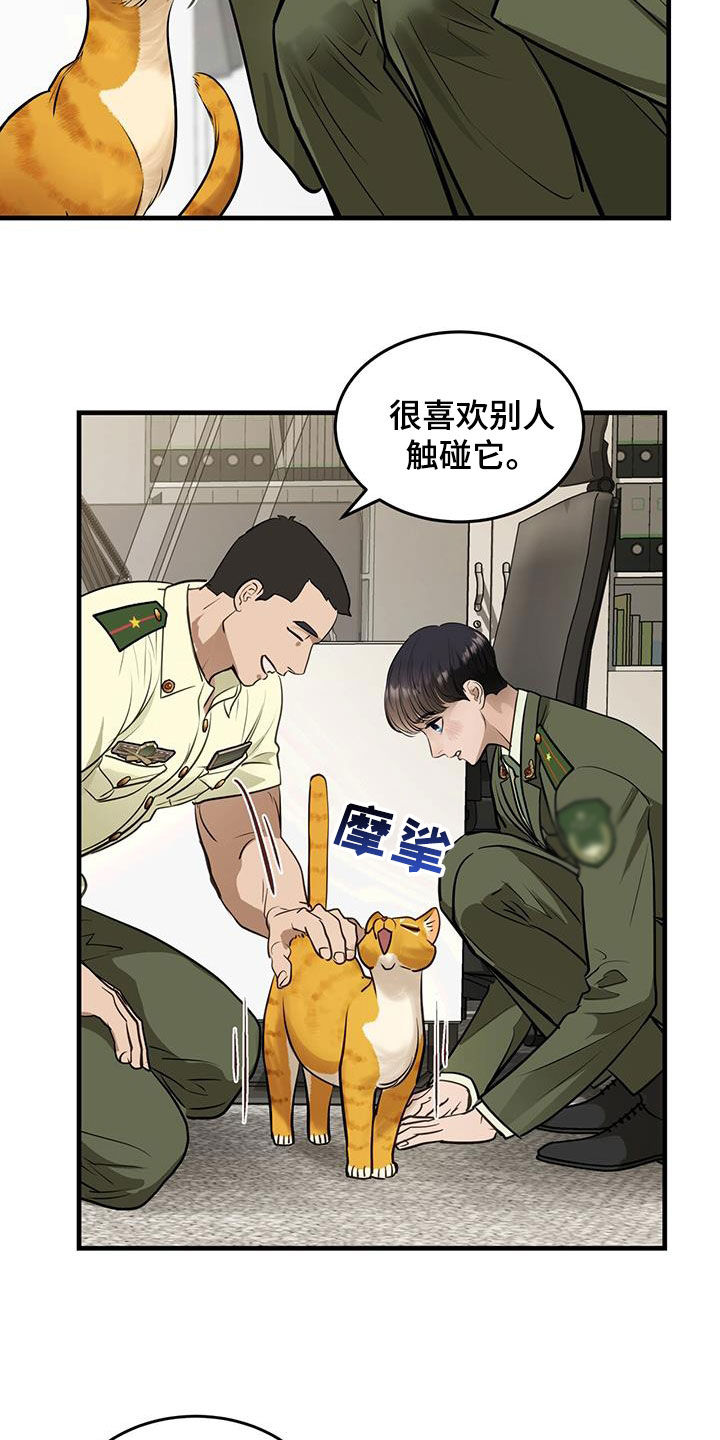 第28章：对猫过敏15