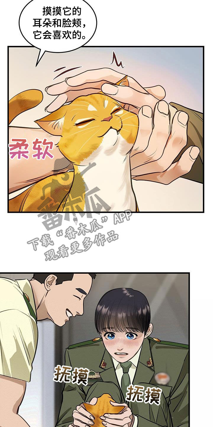 第28章：对猫过敏16