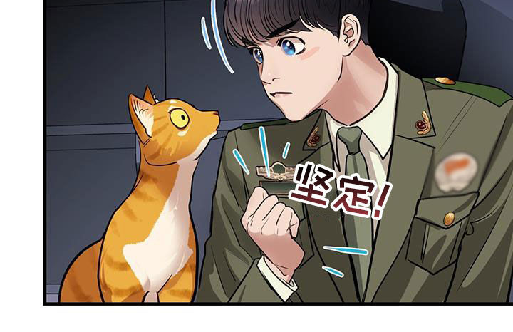 第31章：猫主人20