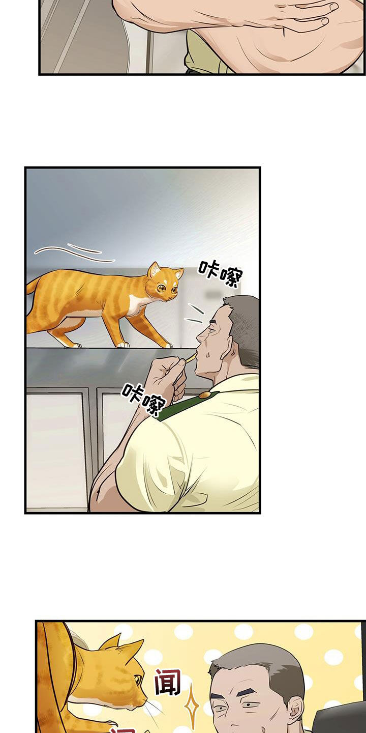 第28章：对猫过敏4