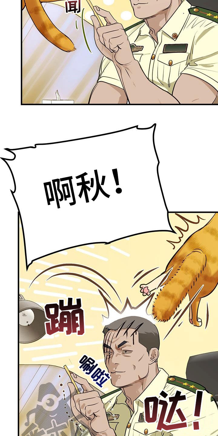 第28章：对猫过敏5