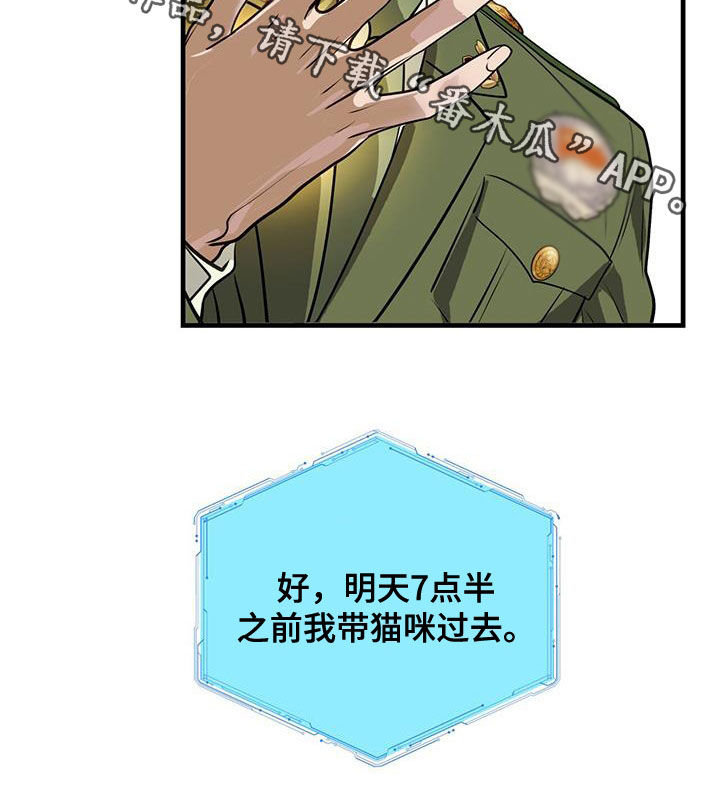 第31章：猫主人26