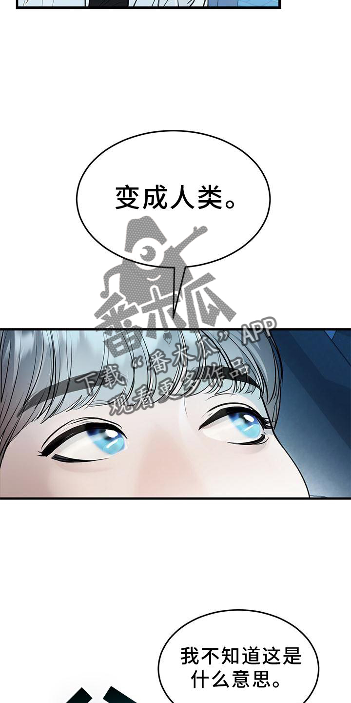 第22章：痛觉22