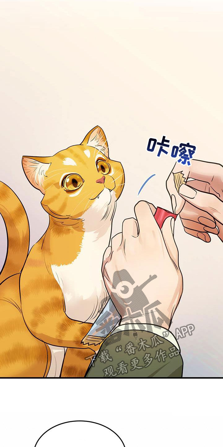 第29章：名牌17