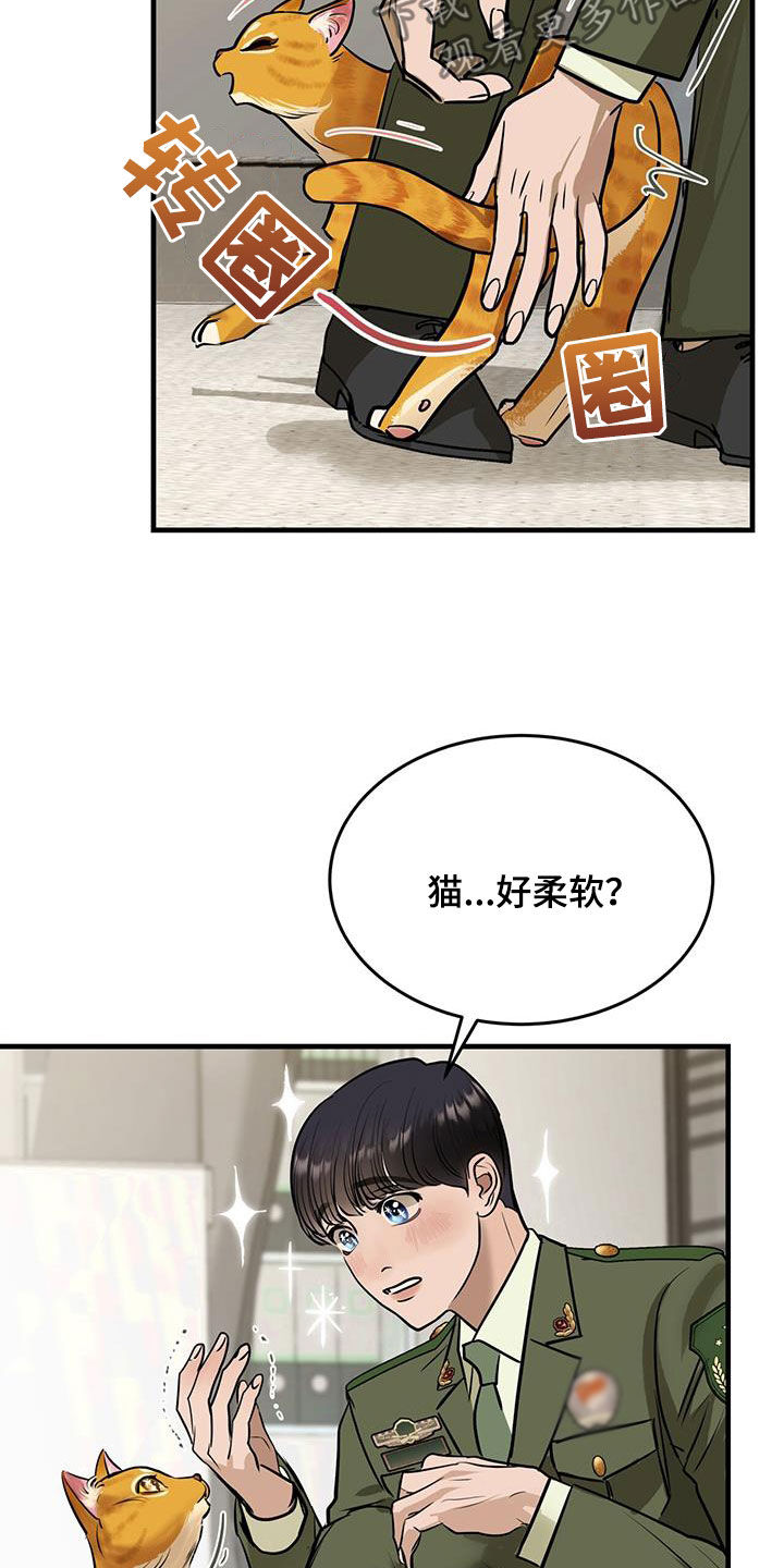 第28章：对猫过敏14