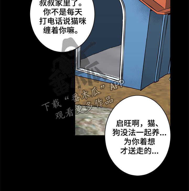 第27章：论坛13
