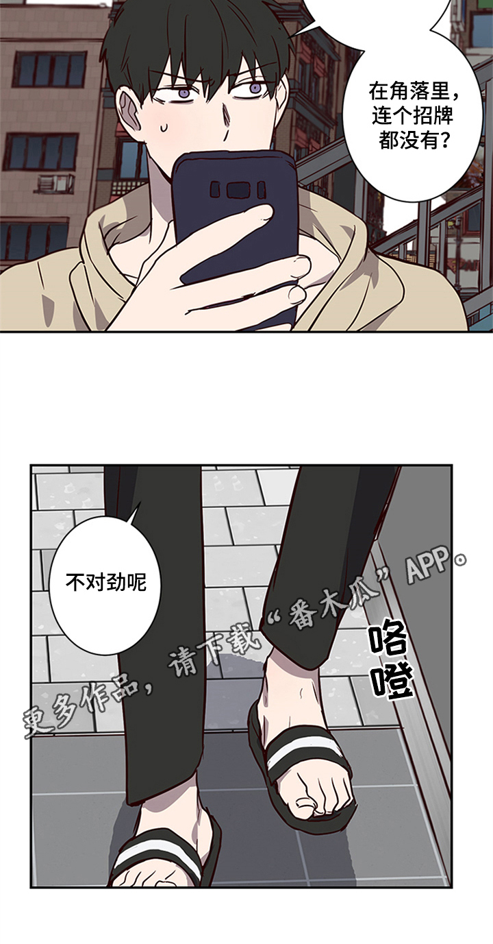 第13章：带领15