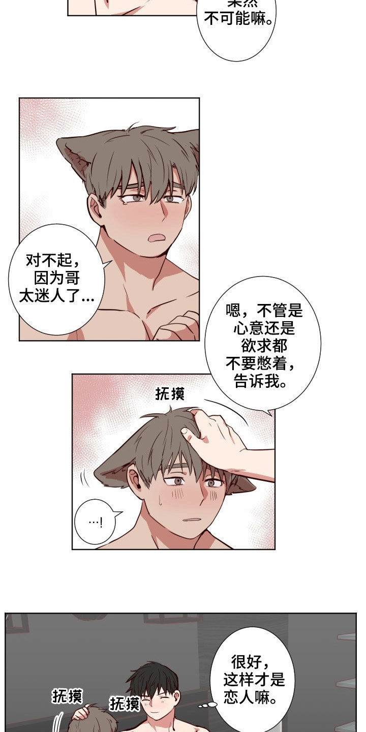 第54章：命中注定3
