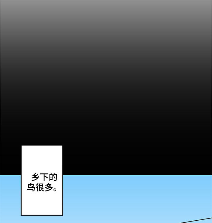第27章：论坛6