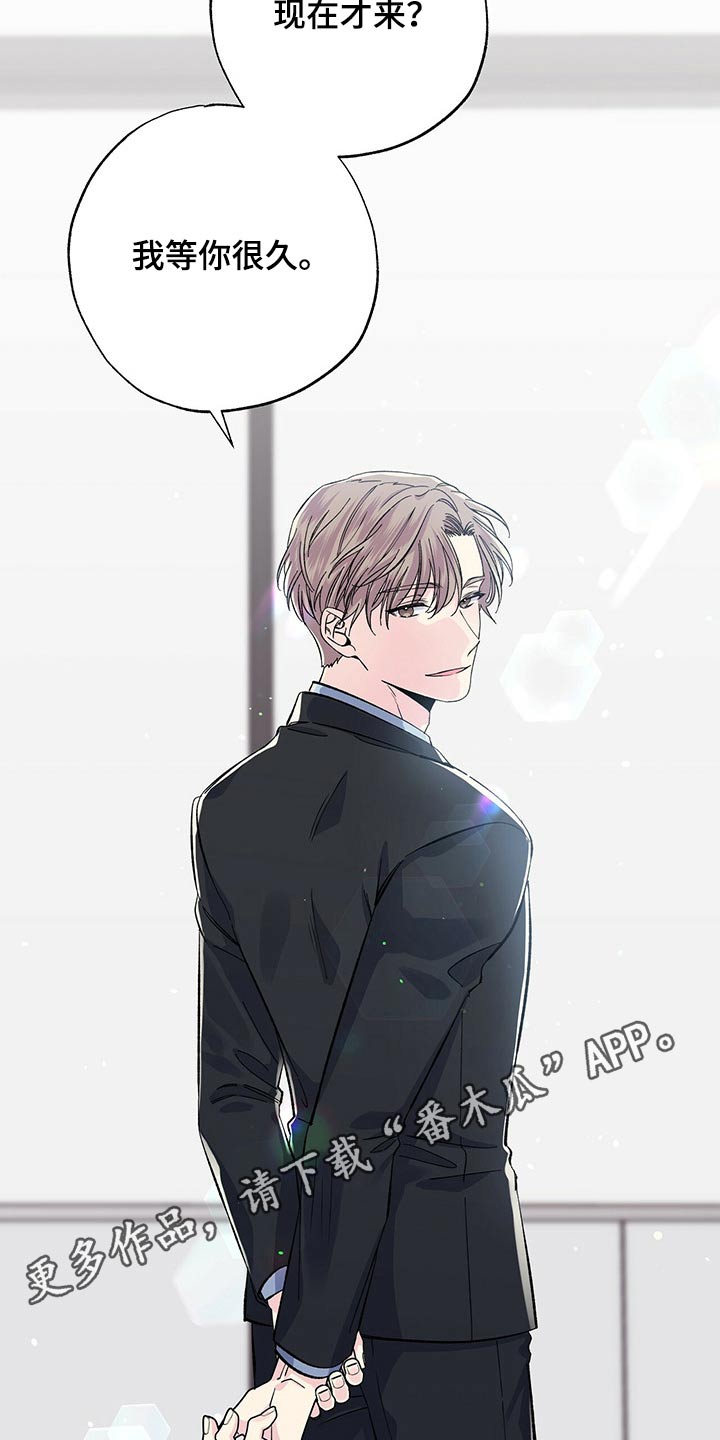 第52章：到处都是20