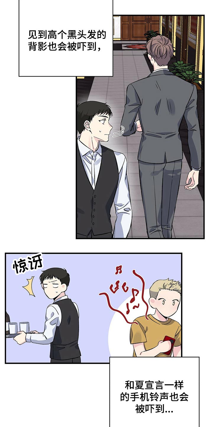 第52章：到处都是17