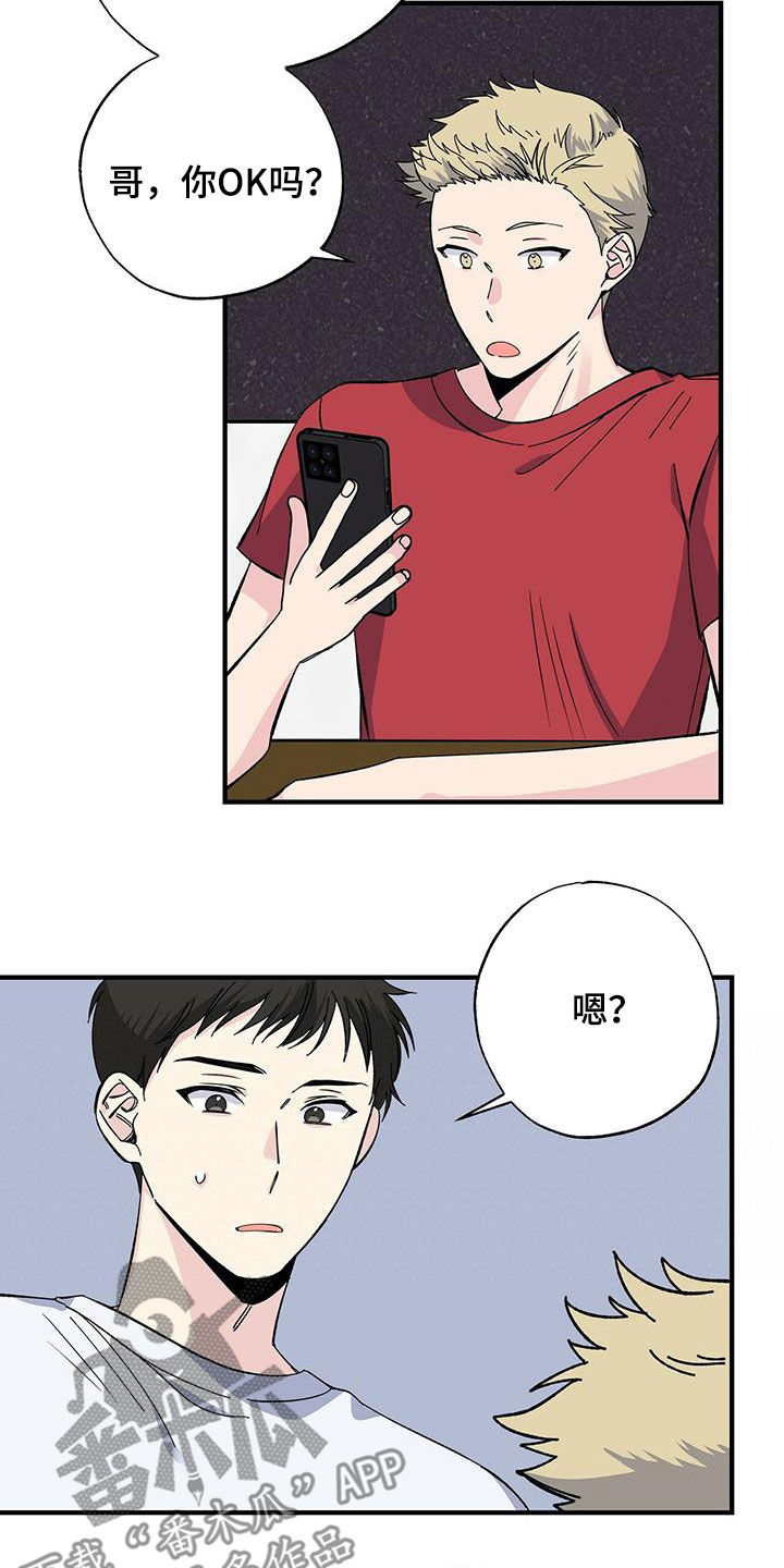 第42章：天价话费9