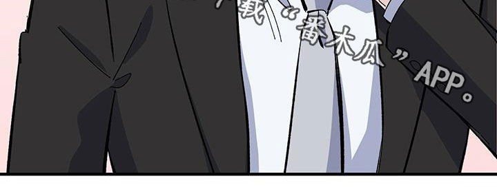 第38章：买手机19