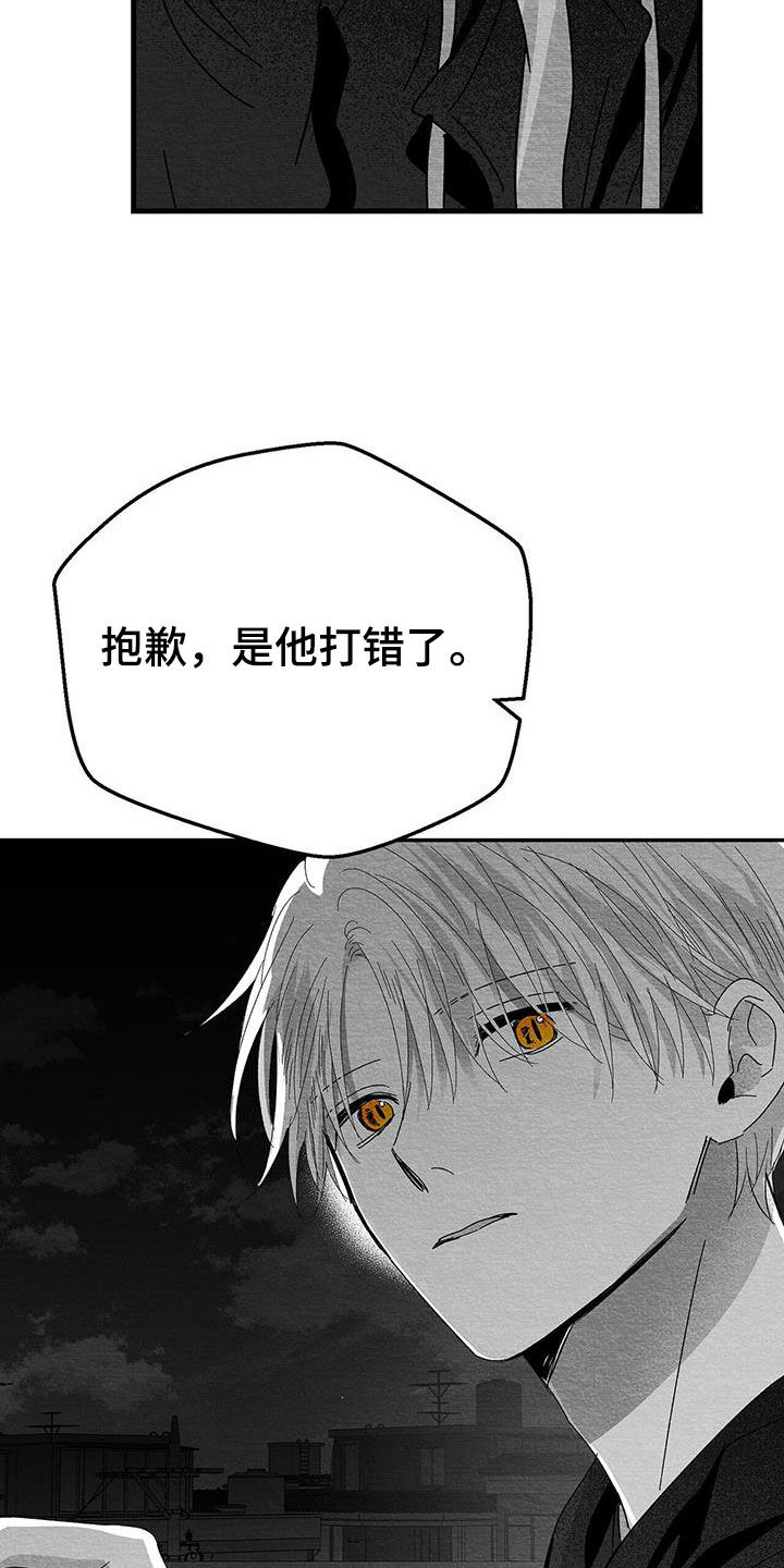第27章：是诅咒吗1