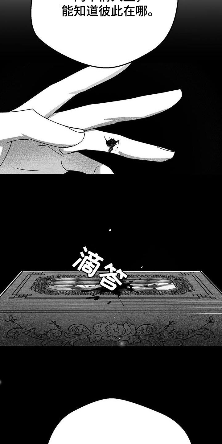 第28章：变数3