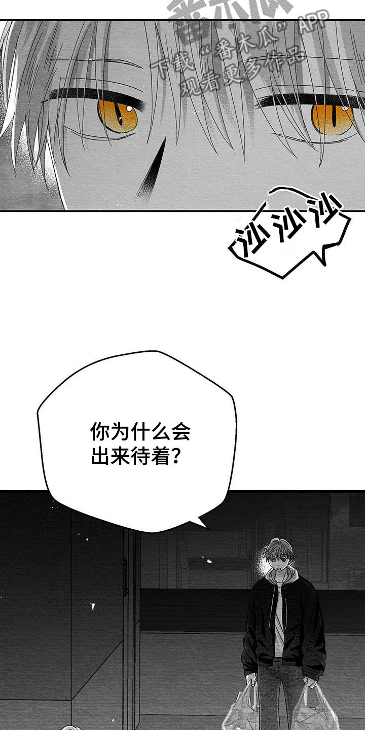 第26章：善变3