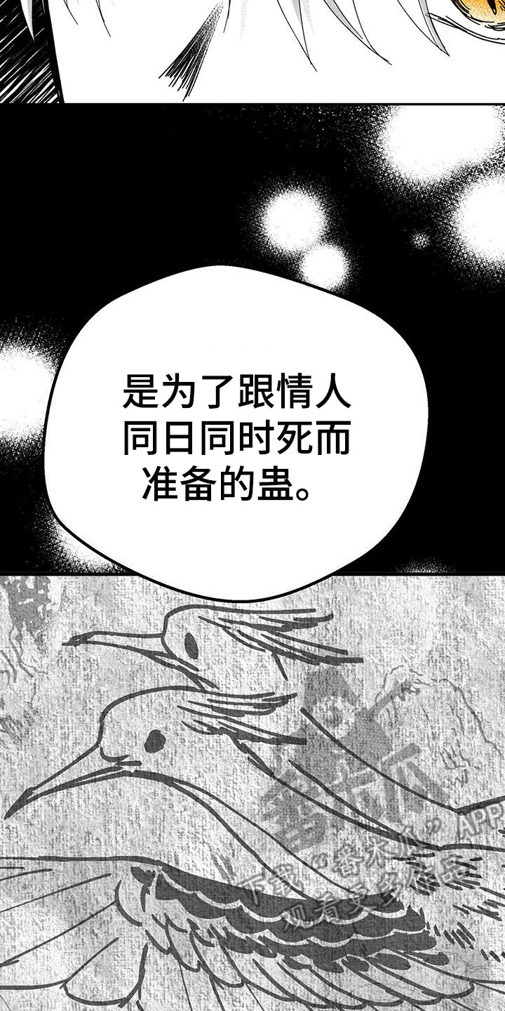 第13章：情人蛊21