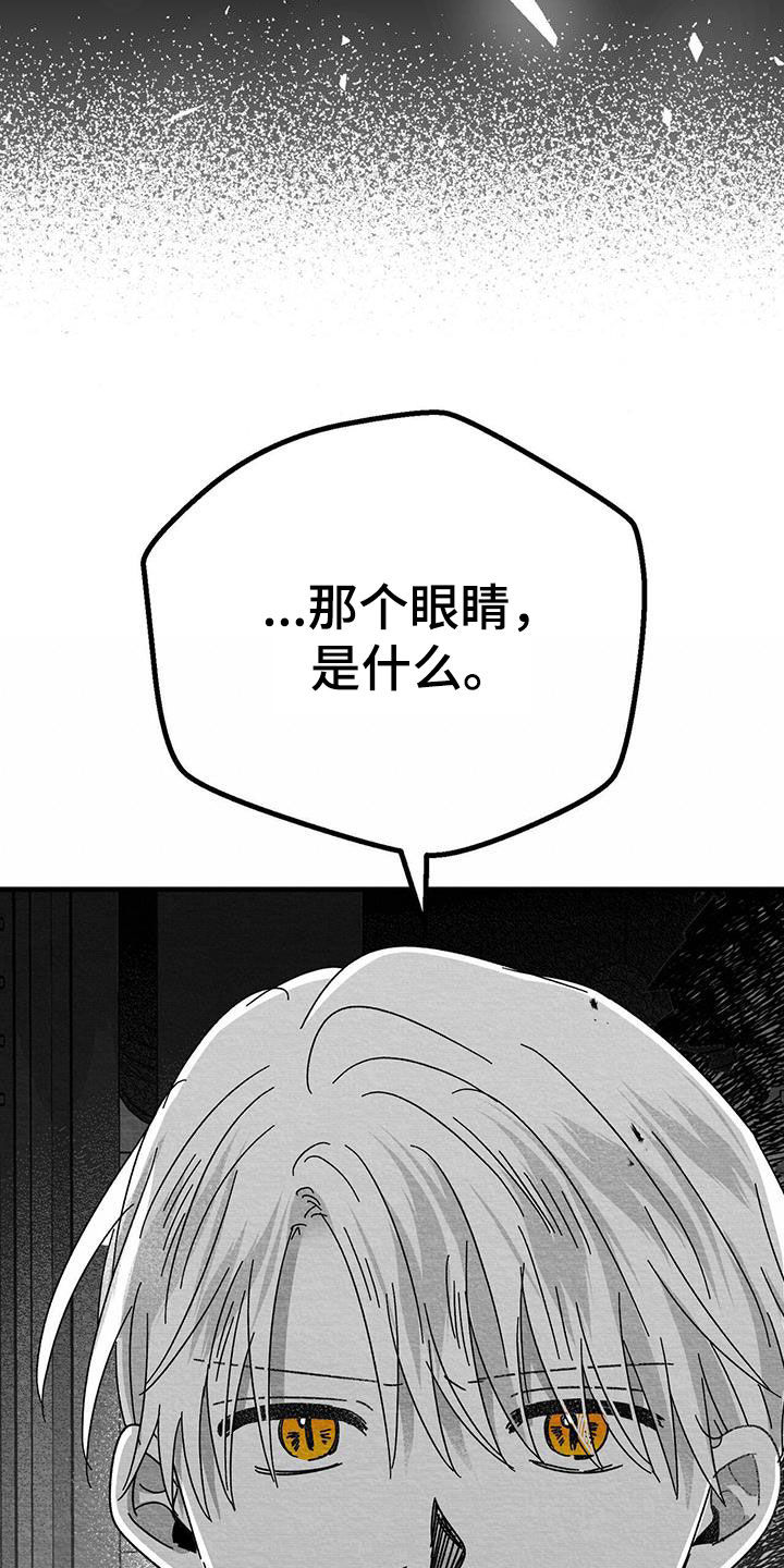 第22章：兴趣31