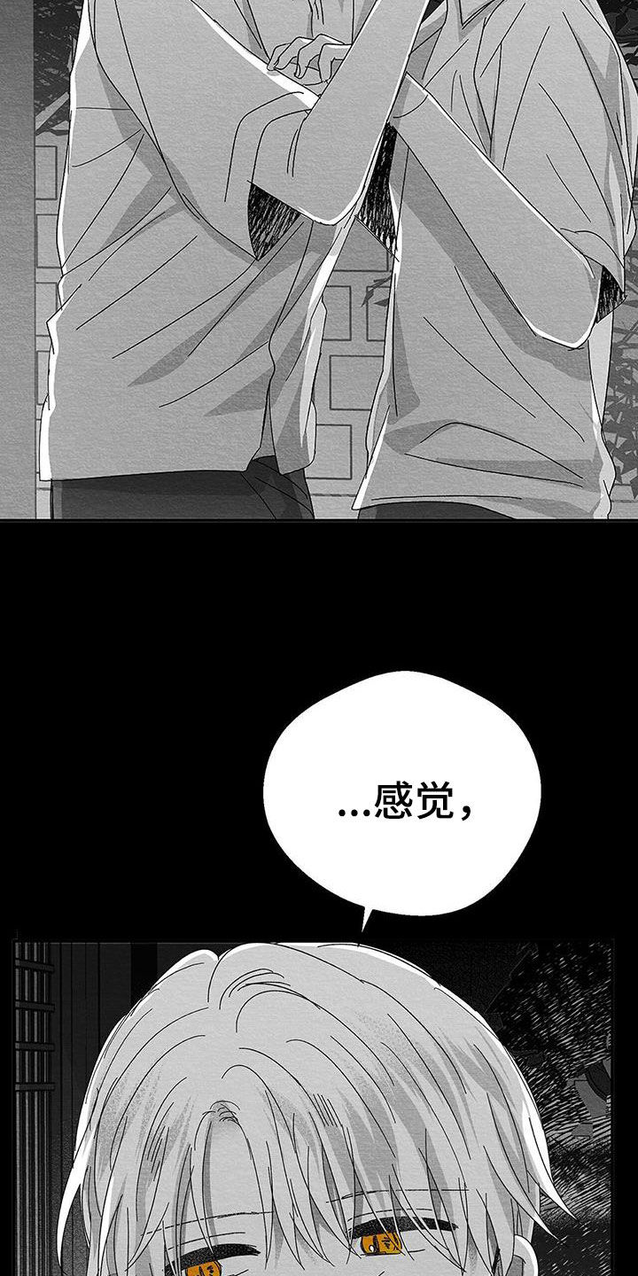 第22章：兴趣29
