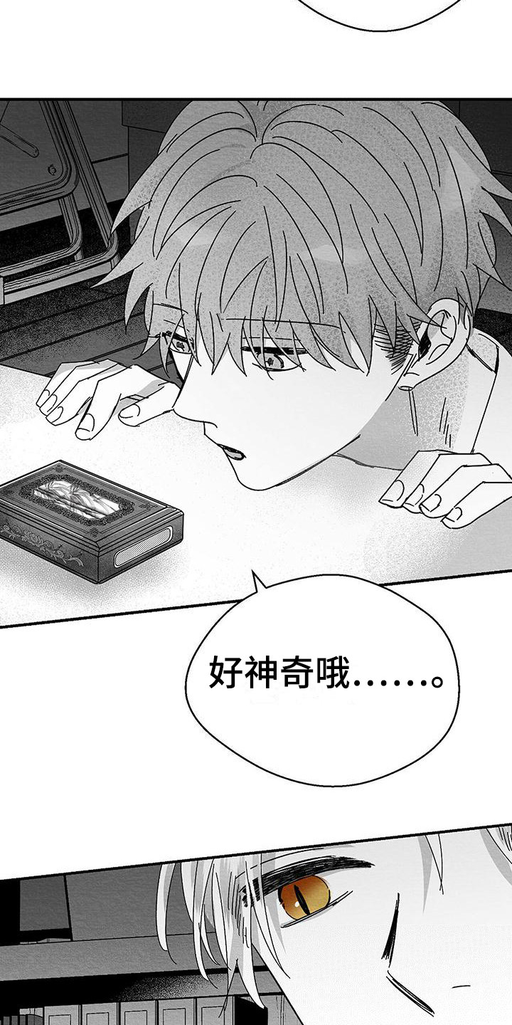 第1章：小盒子15