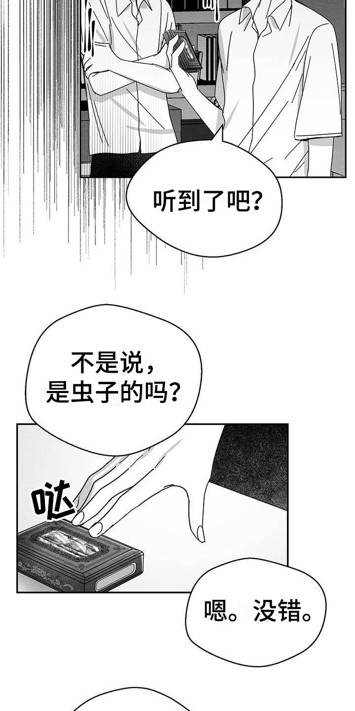 第1章：小盒子13