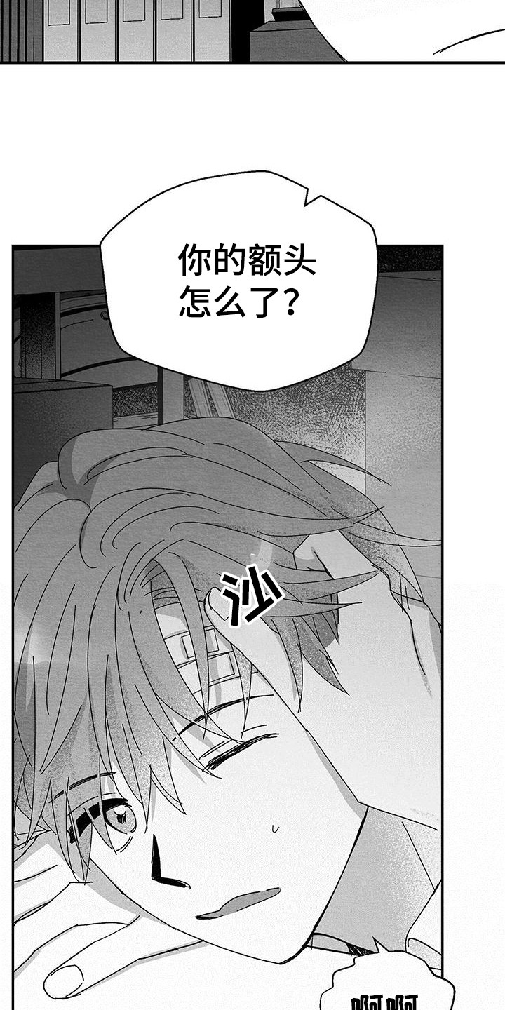 第1章：小盒子16
