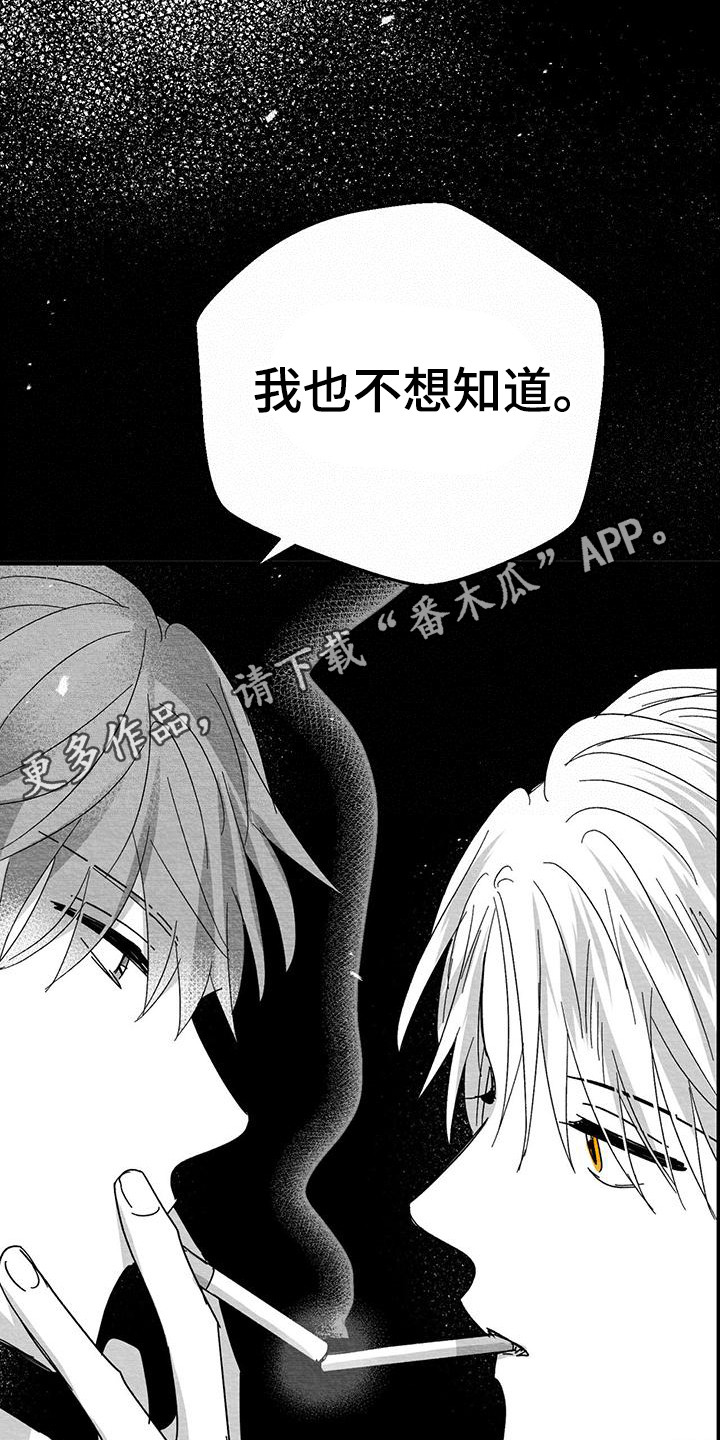 第14章：破鞋13