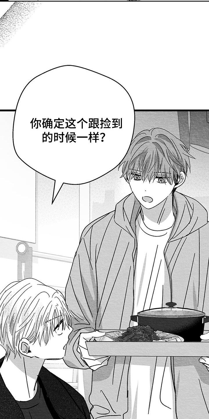第28章：变数1