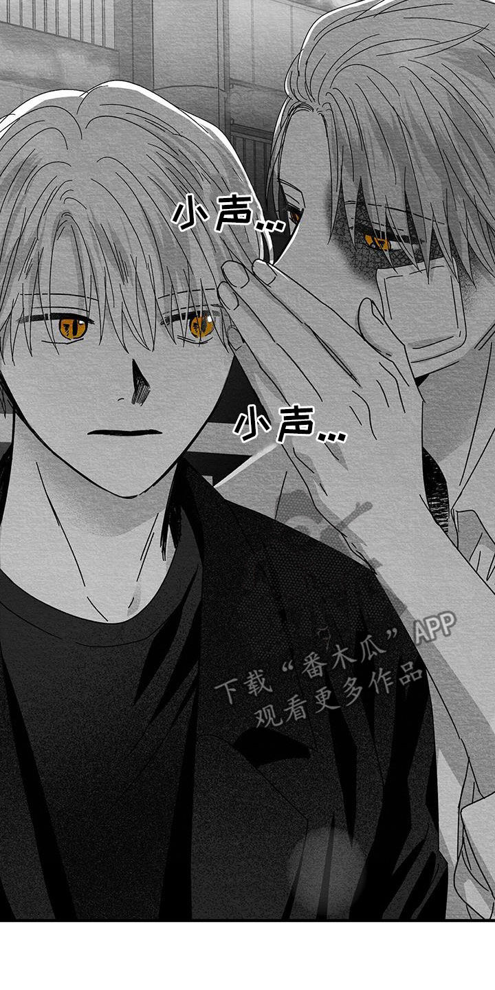 第24章：出发24