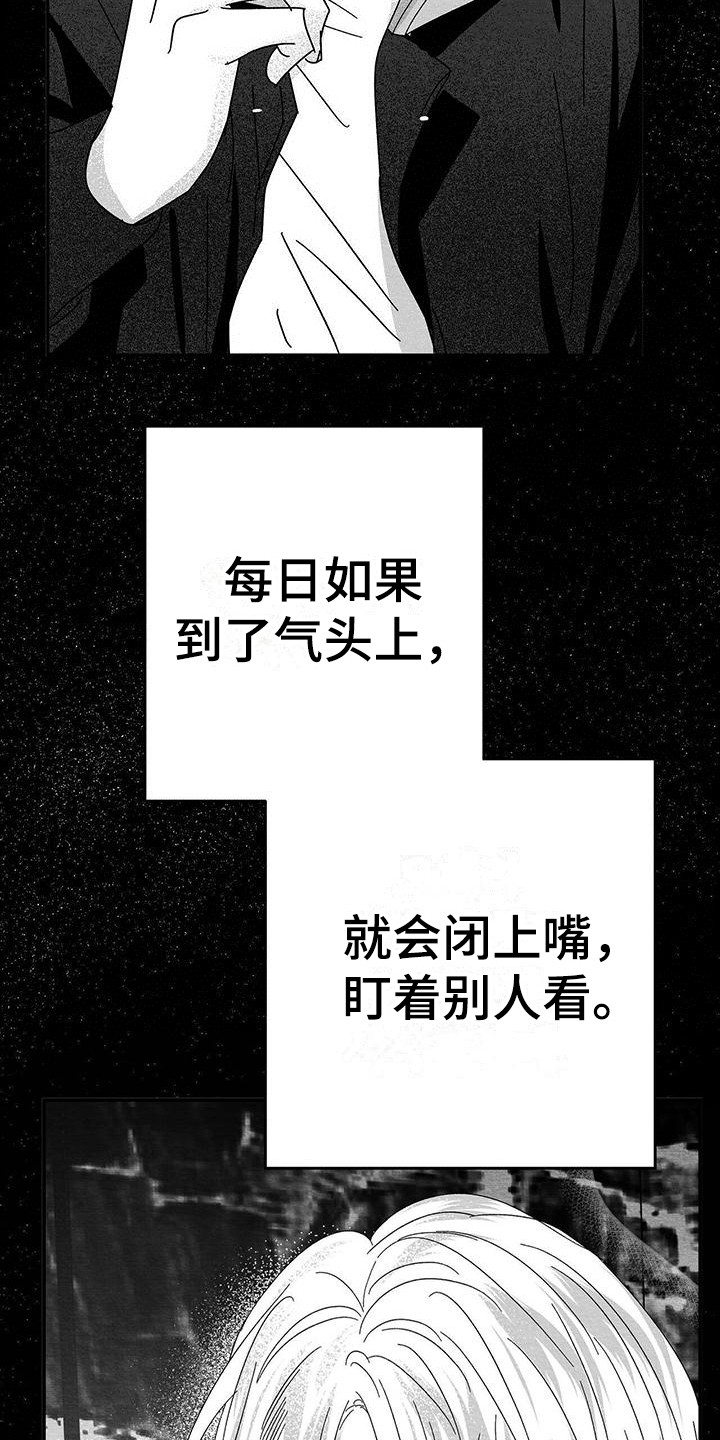 第14章：破鞋20