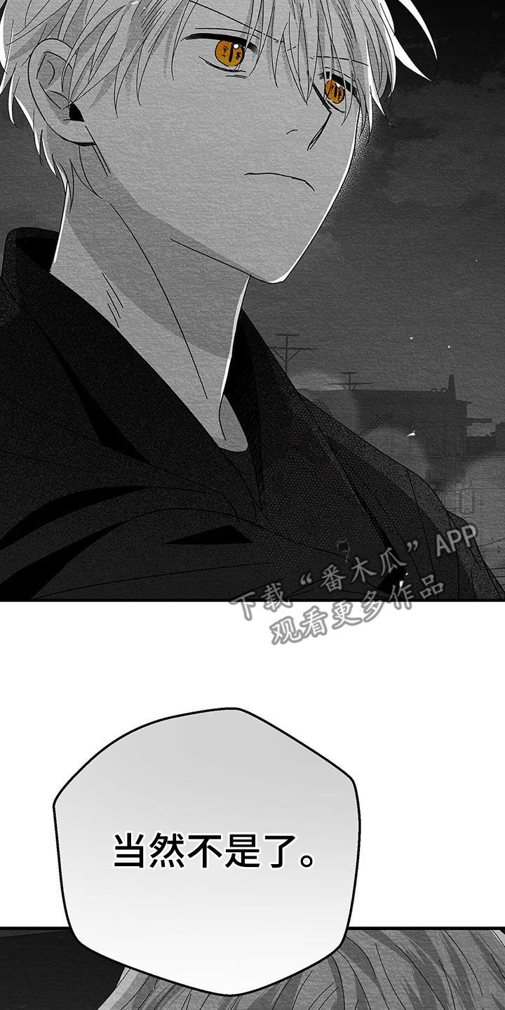 第26章：善变27
