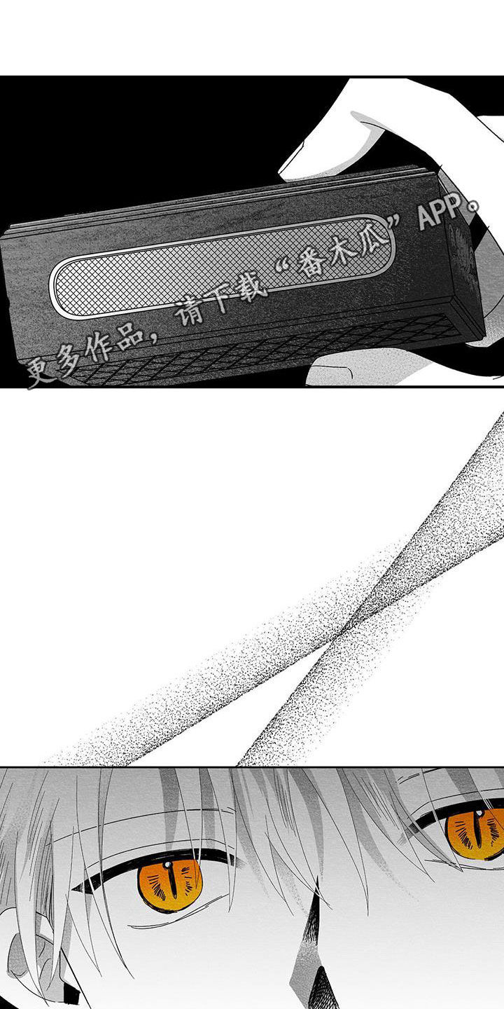 第28章：变数0