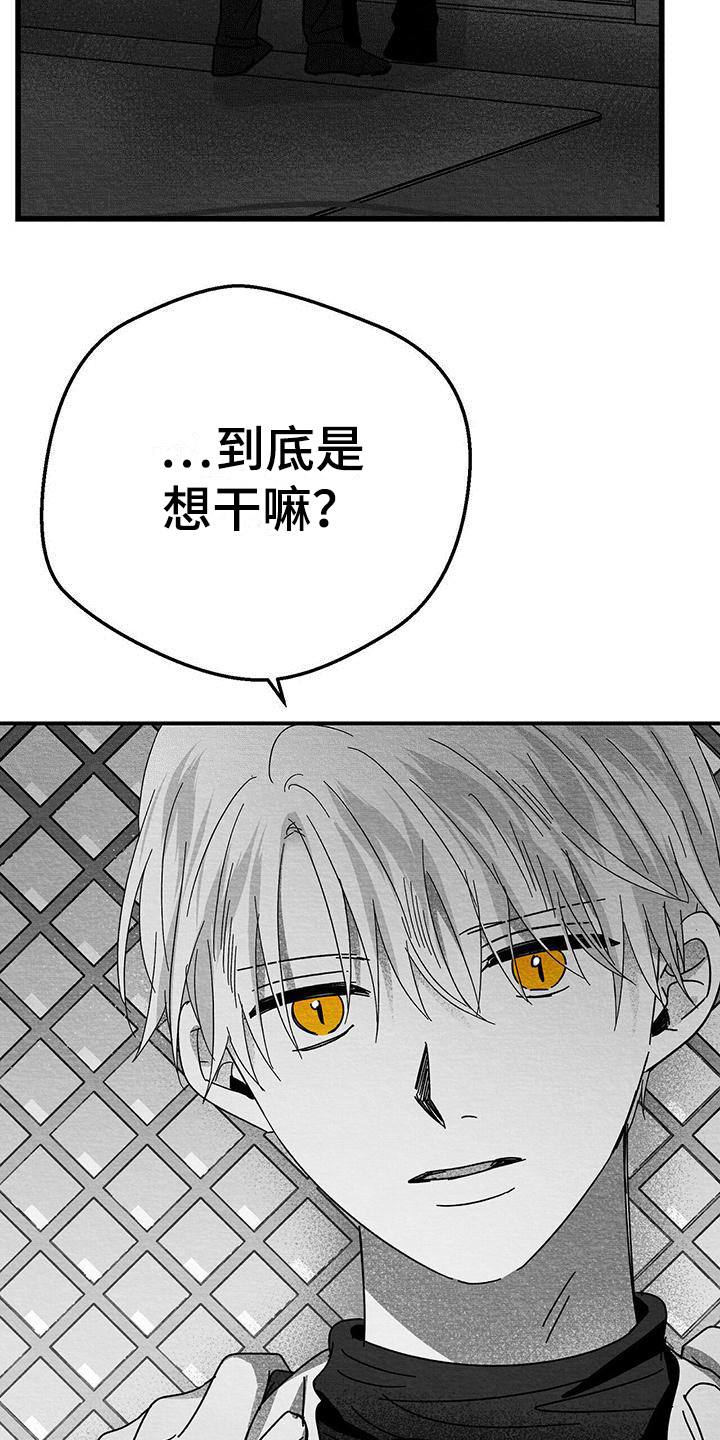 第19章：解除方法28