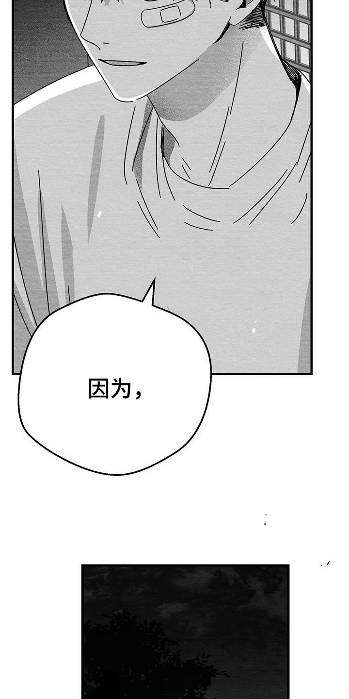 第22章：兴趣14