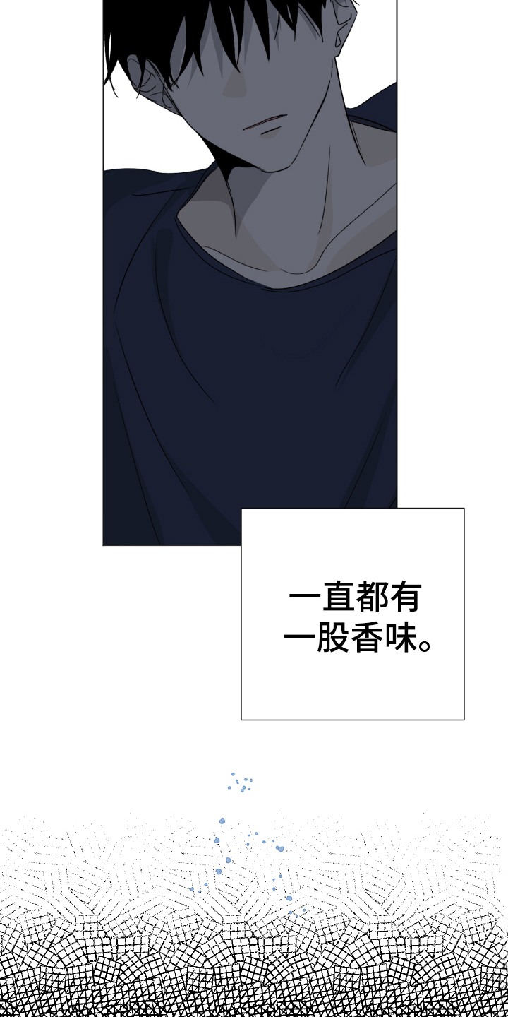 第9章：显眼3