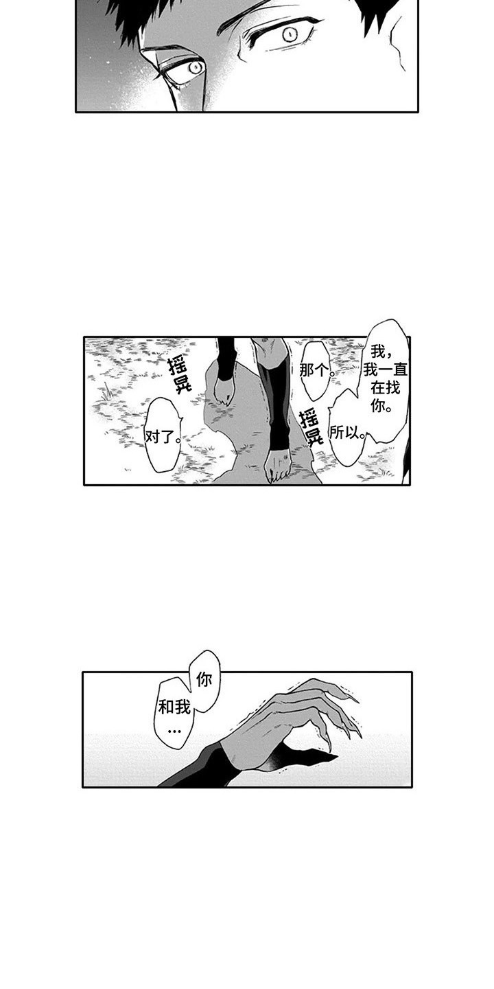 第14章：寻找12