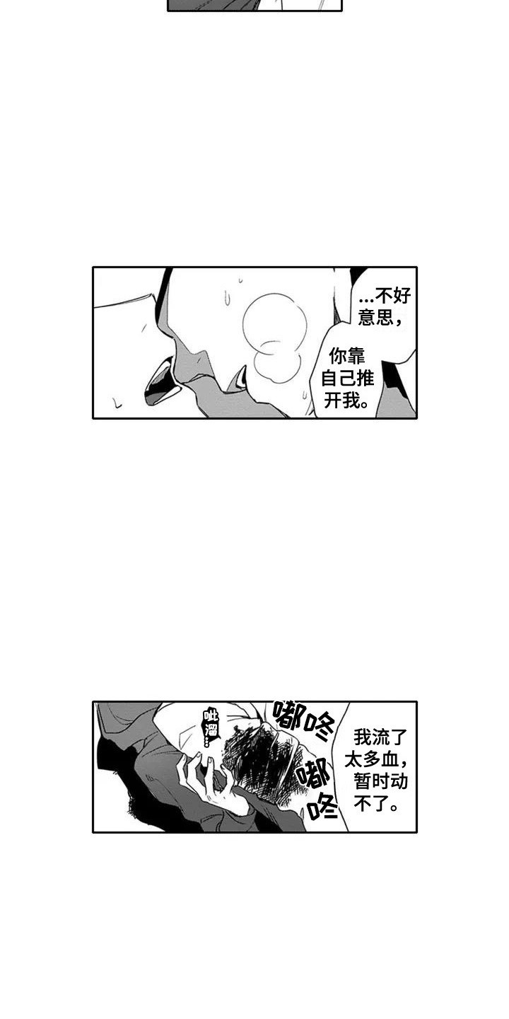 第1章：受伤之人13