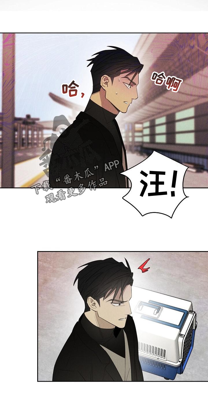 第25章：总比不知道要好14
