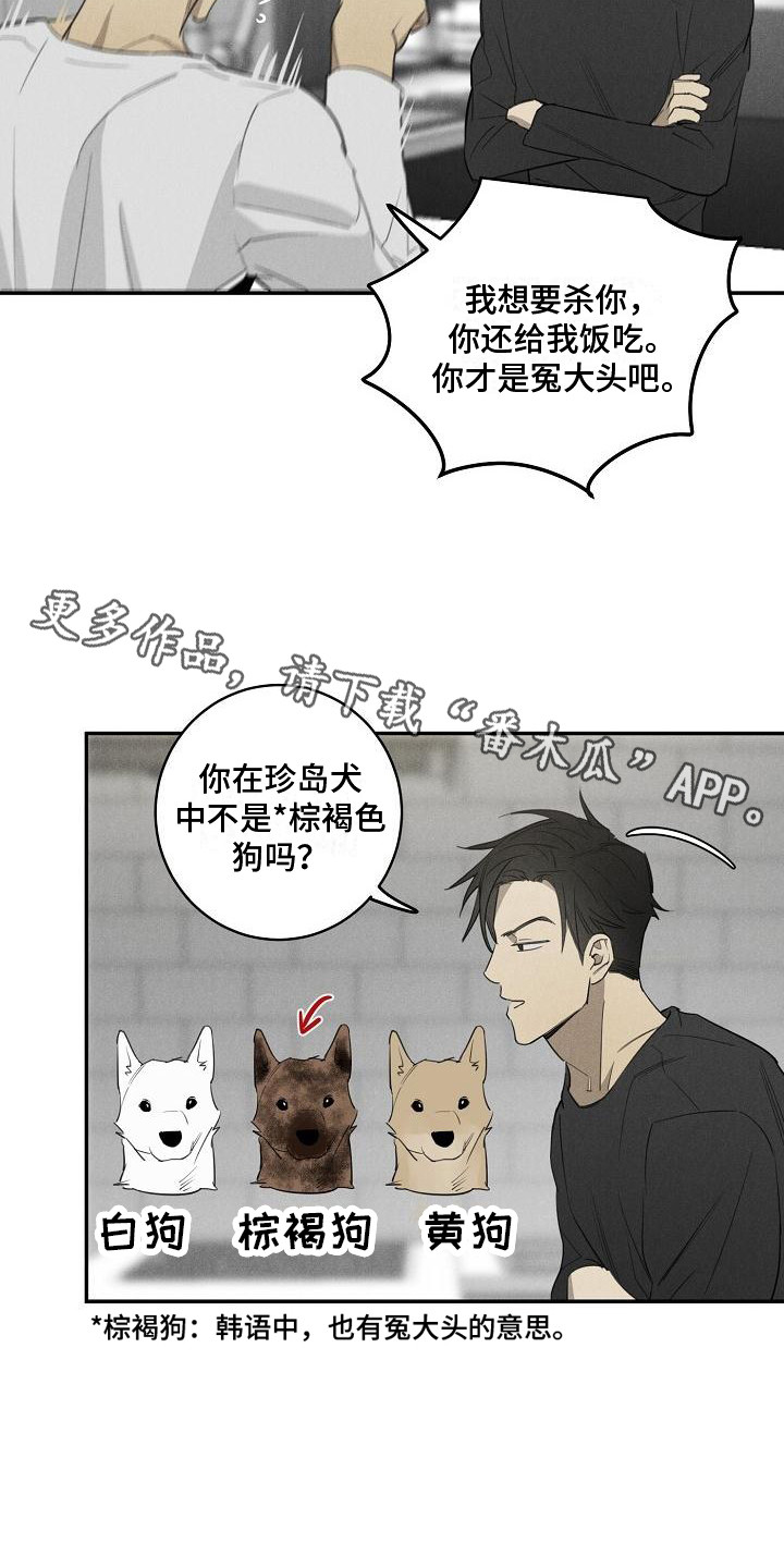 第9章：问题10