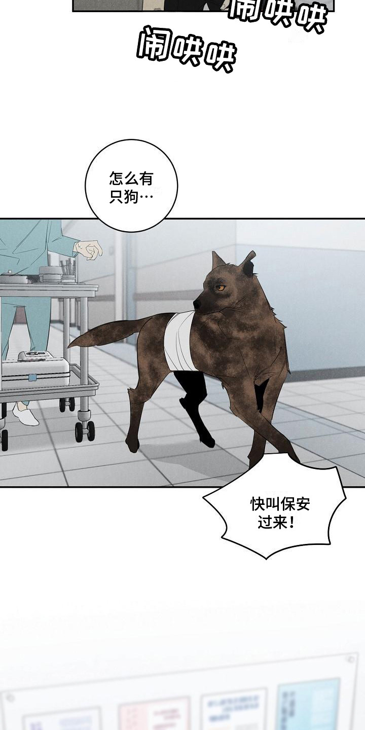第4章：不见了7