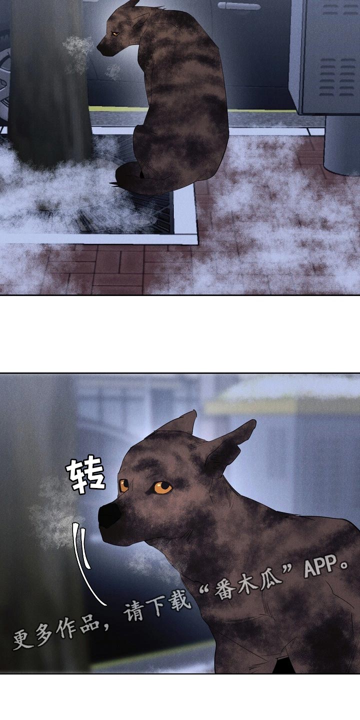 第19章：不该接受你的帮助15