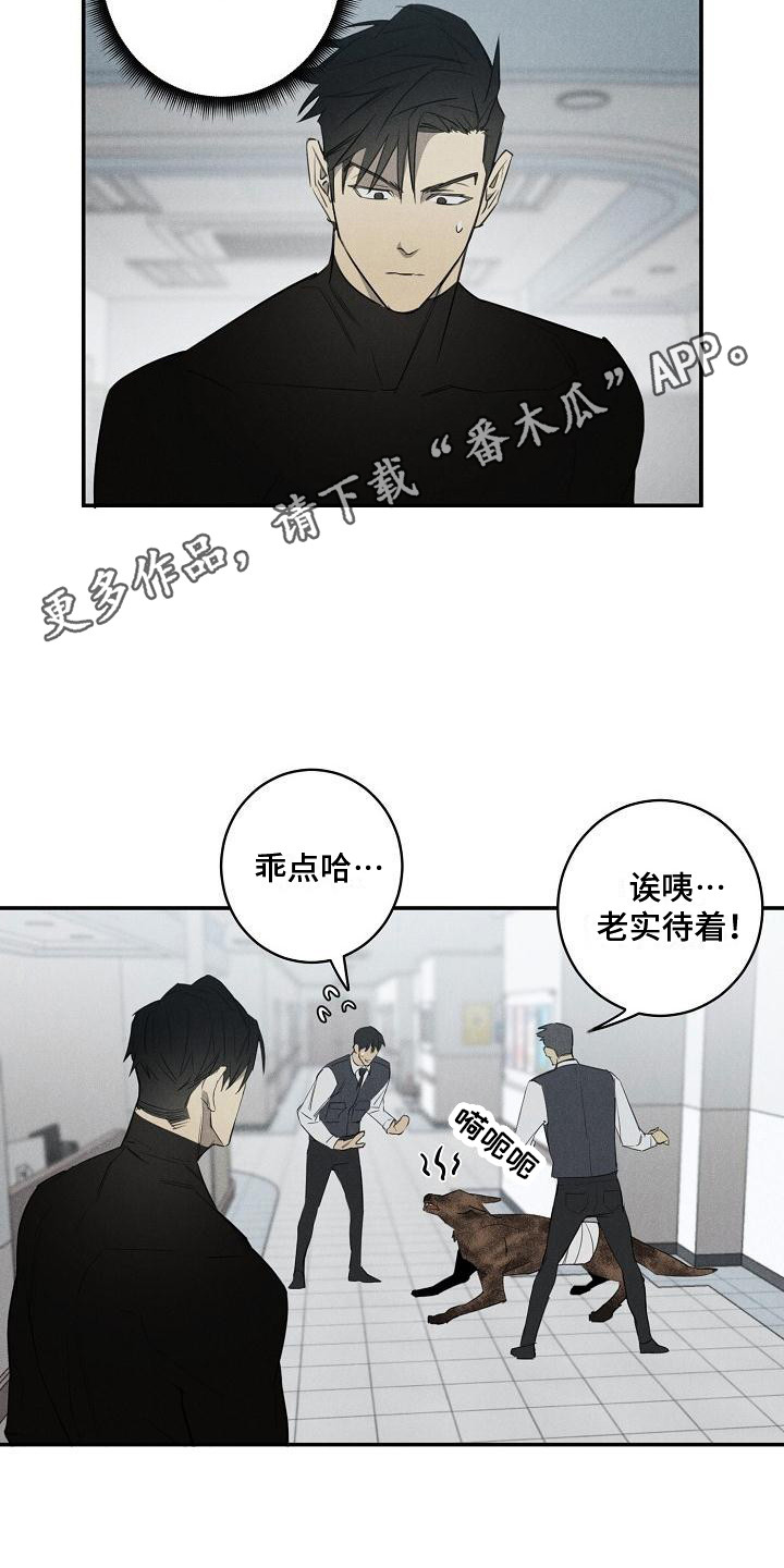 第4章：不见了9