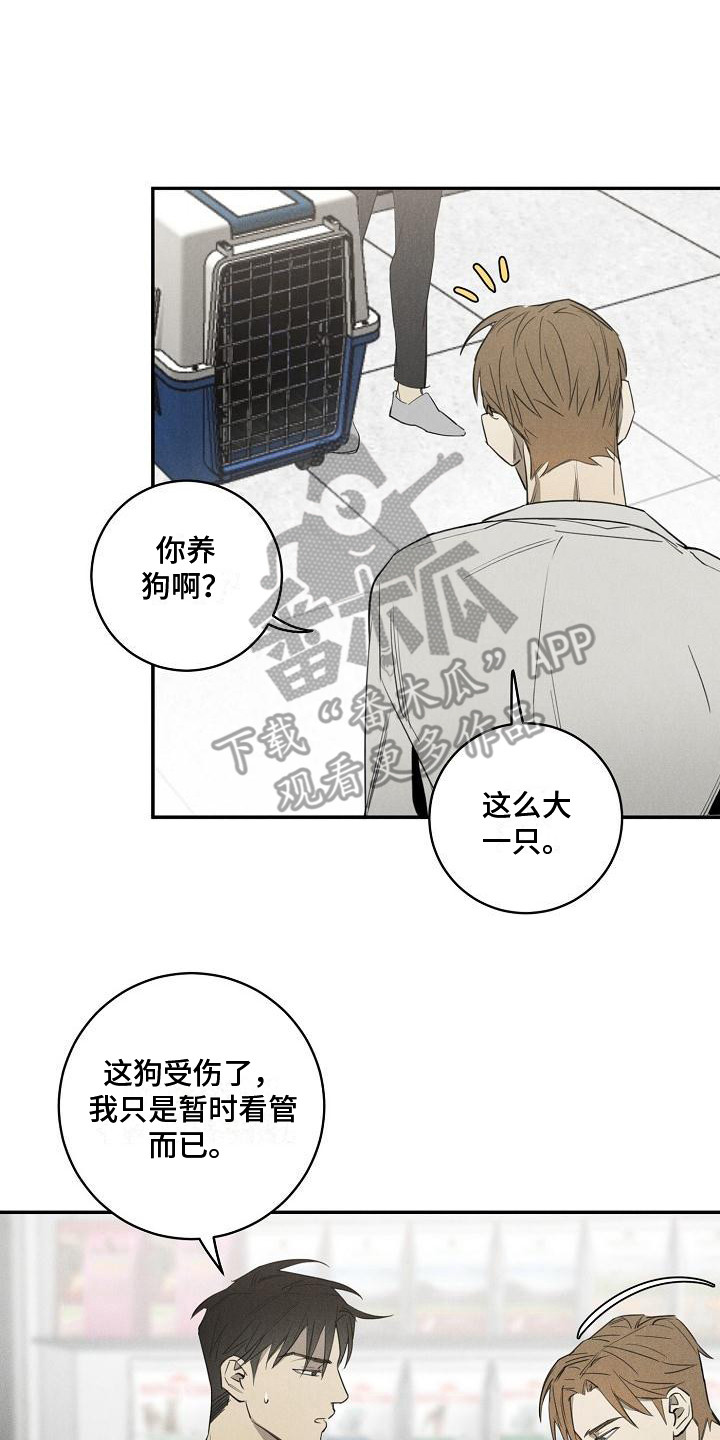 第6章：宠物医院13