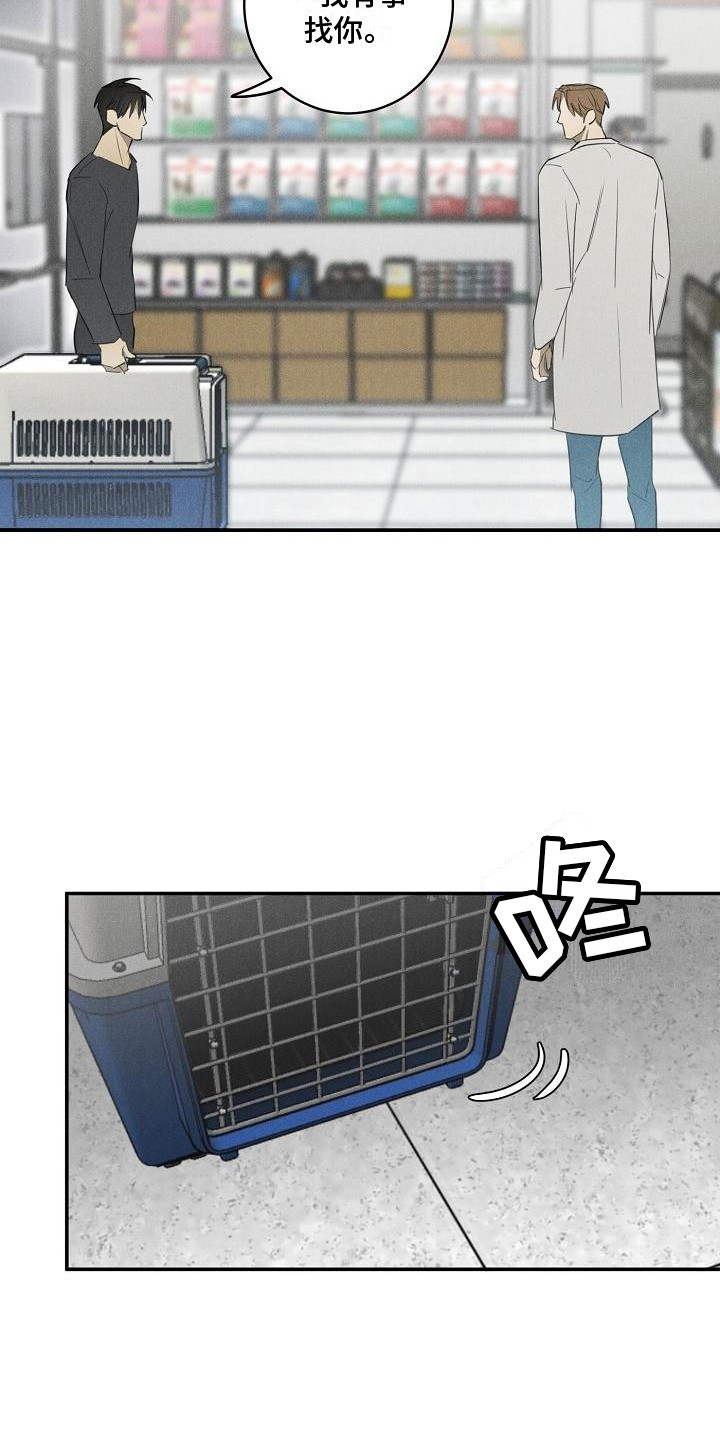 第6章：宠物医院12