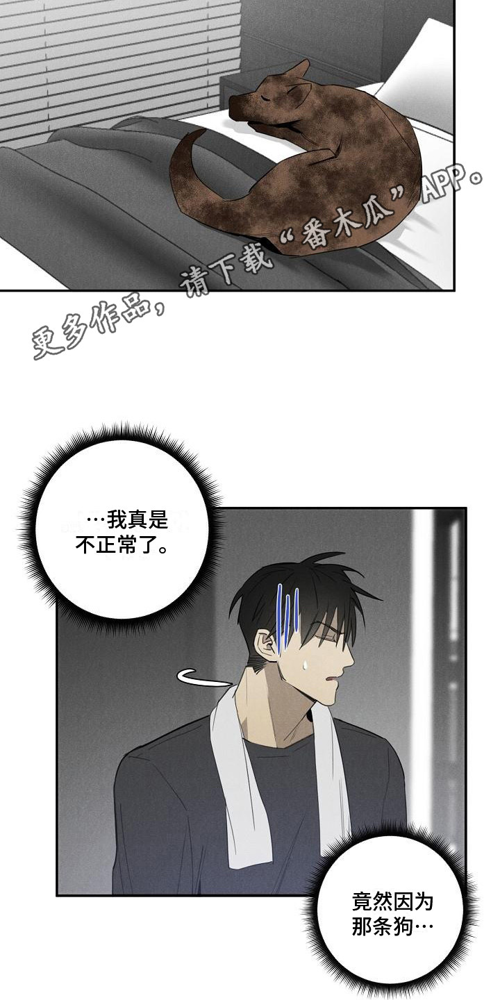 第8章：不正常10
