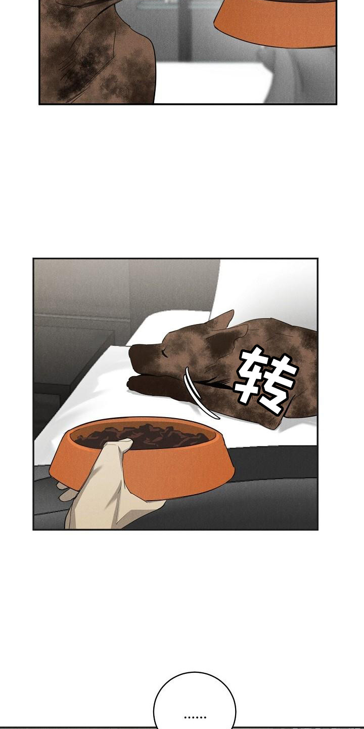 第8章：不正常12