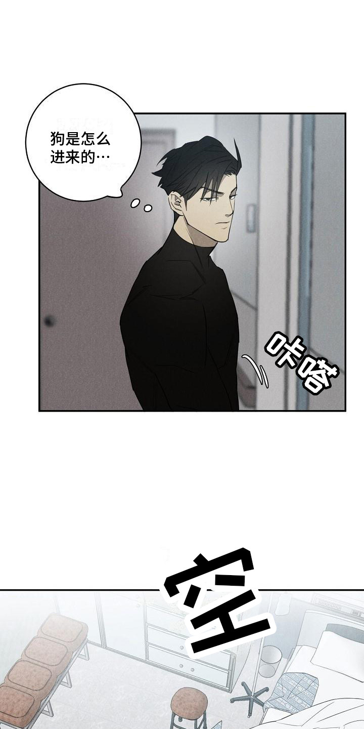 第4章：不见了10