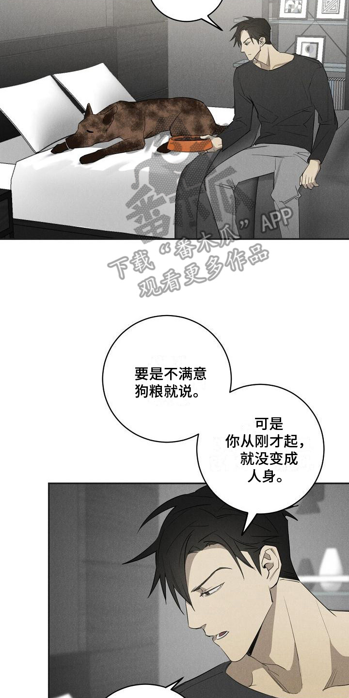 第8章：不正常13